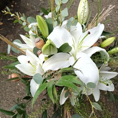 Star Gaze - A special gift of long lasting Oriental Lilies so simple, so perfect.