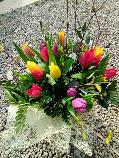 Spring time - Handtied box of tulips